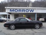 2002 Evening Black Ford Thunderbird Premium Roadster #6293337