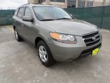 2007 Natural Khaki Green Hyundai Santa Fe GLS #63100965