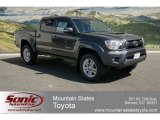 2012 Magnetic Gray Mica Toyota Tacoma V6 TRD Sport Double Cab 4x4 #63100453