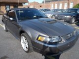 2001 Mineral Grey Metallic Ford Mustang GT Convertible #63101195