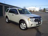 2009 Ford Escape XLS 4WD Front 3/4 View