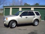 2010 Gold Leaf Metallic Ford Escape XLT 4WD #63200335