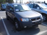 2003 Dark Shadow Grey Metallic Ford Escape XLT V6 4WD #63200241