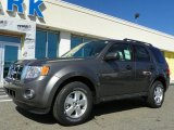 2012 Sterling Gray Metallic Ford Escape XLT V6 4WD #63200441