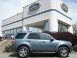2012 Steel Blue Metallic Ford Escape Limited 4WD #63242665