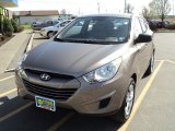 2011 Chai Bronze Hyundai Tucson GL #63243354
