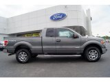 2012 Sterling Gray Metallic Ford F150 XLT SuperCab 4x4 #63319659