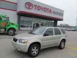 2005 Gold Ash Metallic Ford Escape Limited 4WD #63319605
