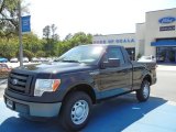 2012 Tuxedo Black Metallic Ford F150 XL Regular Cab #63319548