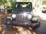 2003 Shale Green Metallic Jeep Wrangler X 4x4 #63319439