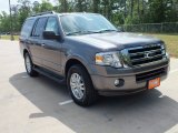 2012 Sterling Gray Metallic Ford Expedition XLT #63384560