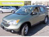 2008 Green Tea Metallic Honda CR-V LX 4WD #63383816