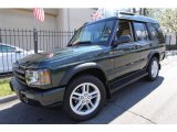 2004 Epsom Green Land Rover Discovery SE #63383742