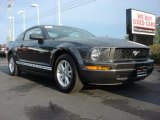 2008 Alloy Metallic Ford Mustang V6 Deluxe Coupe #63384415
