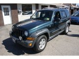 2005 Deep Beryl Green Pearl Jeep Liberty Renegade 4x4 #63384049