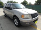 2003 Silver Birch Metallic Ford Expedition XLT #63384018