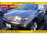 2004 Sterling Grey Metallic BMW X5 4.4i #63450776