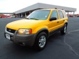 2002 Chrome Yellow Ford Escape XLT V6 4WD #63450968