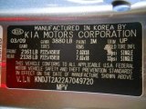 2010 Soul Color Code for Titanium Gray - Color Code: IM