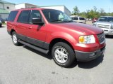 2003 Laser Red Tinted Metallic Ford Expedition XLT #63595869