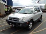 2006 Pewter Hyundai Santa Fe GLS 4WD #63596191