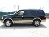 Green Gem Metallic Ford Expedition in 2012