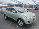 2012 Kiwi Green Hyundai Tucson GLS #63723152