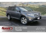 2012 Magnetic Gray Metallic Toyota Highlander Limited 4WD #63780229