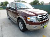 2008 Ford Expedition Eddie Bauer