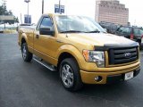 2009 Ford F150 STX Regular Cab