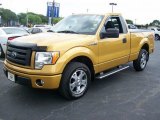 2009 Ford F150 STX Regular Cab Data, Info and Specs