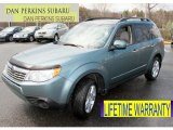 2009 Sage Green Metallic Subaru Forester 2.5 X Premium #63848189