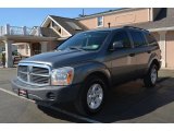 2005 Mineral Gray Metallic Dodge Durango ST 4x4 #63913813