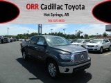 2012 Magnetic Gray Metallic Toyota Tundra Platinum CrewMax 4x4 #63914123