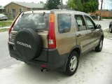 2004 Mojave Mist Metallic Honda CR-V LX #63913986