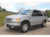 Silver Metallic Ford Expedition in 2002