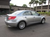 2011 Suzuki Kizashi SE Exterior