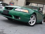 1999 Ford Mustang SVT Cobra Convertible