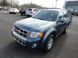 2012 Steel Blue Metallic Ford Escape Limited #64034843