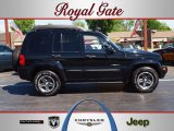 2004 Black Clearcoat Jeep Liberty Renegade 4x4 #64035113