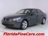 2008 Platinum Grey Metallic BMW 5 Series 528i Sedan #543912