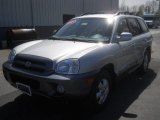 2006 Pewter Hyundai Santa Fe GLS #64034994