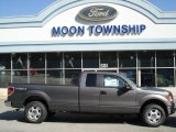 2012 Sterling Gray Metallic Ford F150 XLT SuperCab 4x4 #64034586