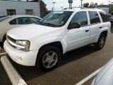 2008 Chevrolet TrailBlazer LS 4x4