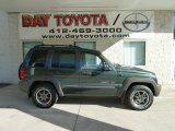 2002 Shale Green Metallic Jeep Liberty Sport 4x4 #64157831