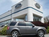 2012 Sterling Gray Metallic Ford Escape Limited V6 4WD #64157798