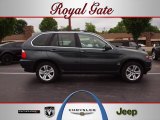 2004 Sterling Grey Metallic BMW X5 4.4i #64158042