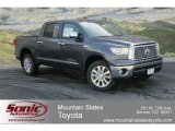 2012 Magnetic Gray Metallic Toyota Tundra Platinum CrewMax 4x4 #64157738