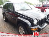 2003 Black Clearcoat Jeep Liberty Limited #64187895
