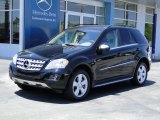 2010 Mercedes-Benz ML 350